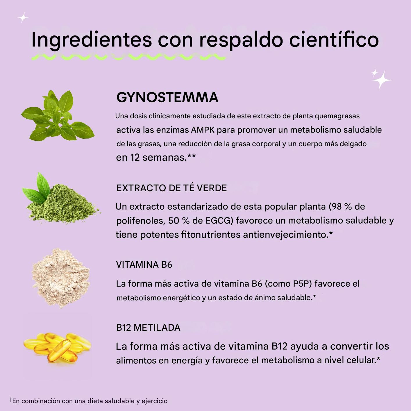 Lemme Burn X 60 unidades - Quemador de grasa y activador AMPK para activar el metabolismo, reducir grasa abdominal y lucir un cuerpo más delgado